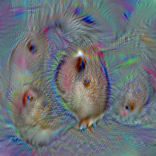 n02364673